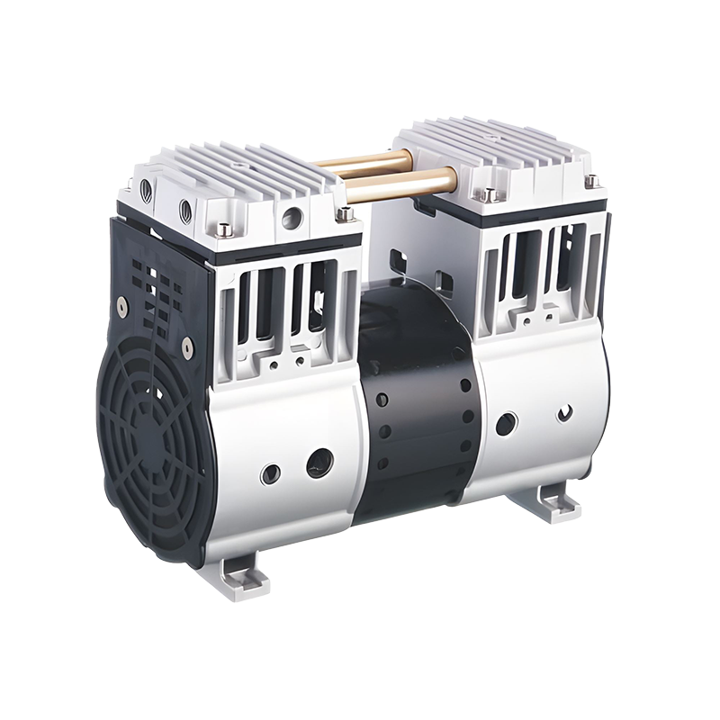 Oil-Free Explosion-Proof Piston Vacuum Pump